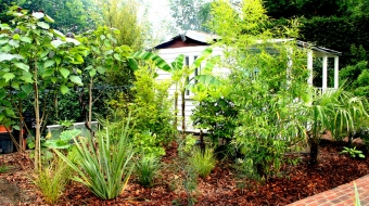 Architectural Planting