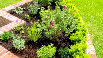 Petersfield-Raised-Beds