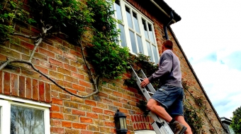Seasonal Pruning